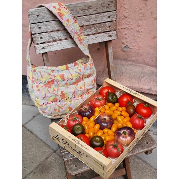 Nova Kantha Bag | E47