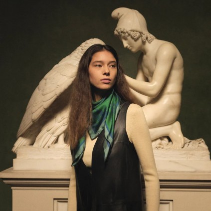 Classical Dark Toile Scarf
