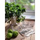 Vintage glass fra Paris 2 stk | 3