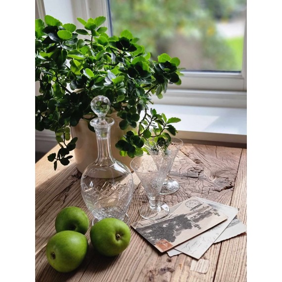 Vintage glass fra Paris 2 stk | 3