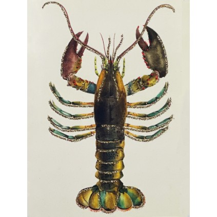 Kort | Lobster