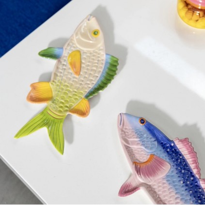 Plate fish | Perch