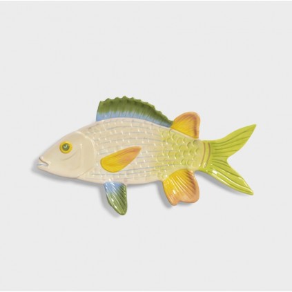 Plate fish | Trigger