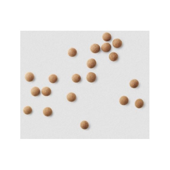 D - Salt & Caramel | 125g