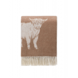 Highland Cow | Brown