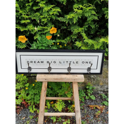 Dream big little one | Hooks