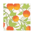 Servietter Lunch | Orange Grove