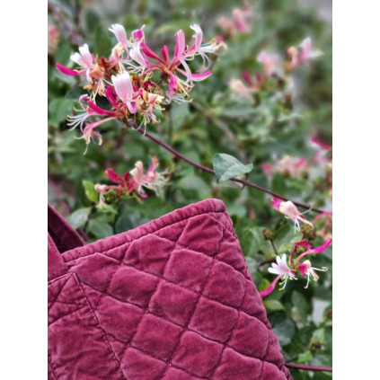 Bag Velour | Port Wine