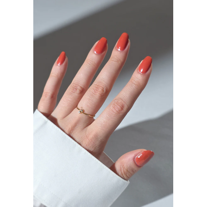 Nailberry | Pumpkin Pie