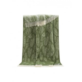 Fern | Green