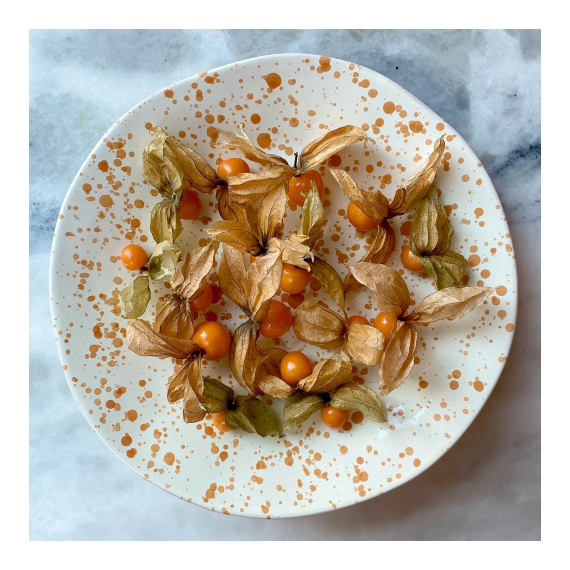 Shallow Serving Bowl | Burnt Orange