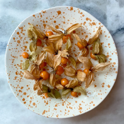 Shallow Serving Bowl | Burnt Orange