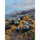Oljelampe | Ball Green Medium