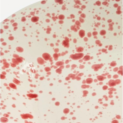 Serving Platter | Cranberry