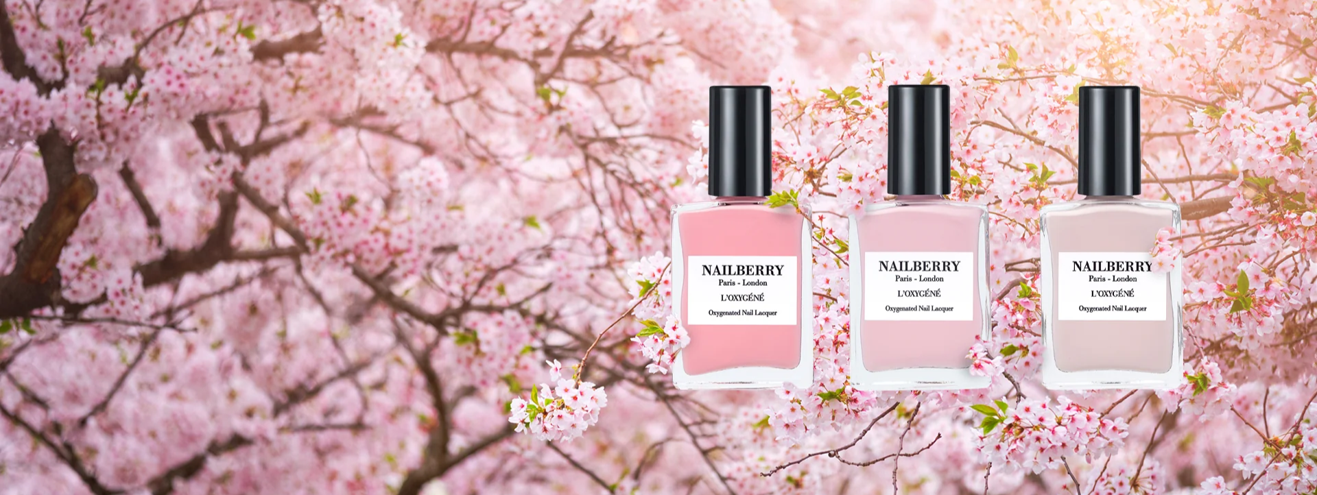 Nailberry nyheter